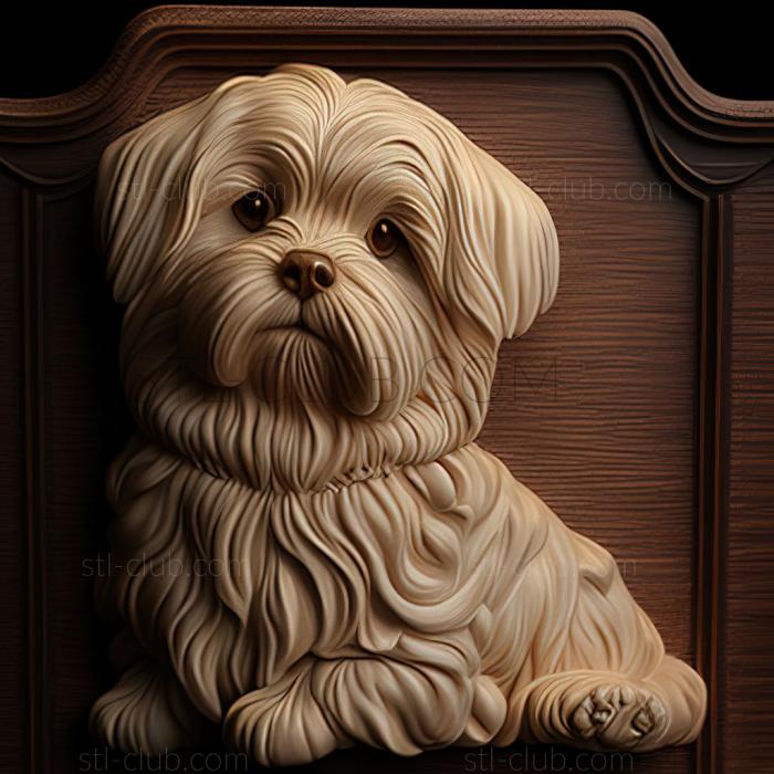 3D model st Maltese Lapdog dog (STL)